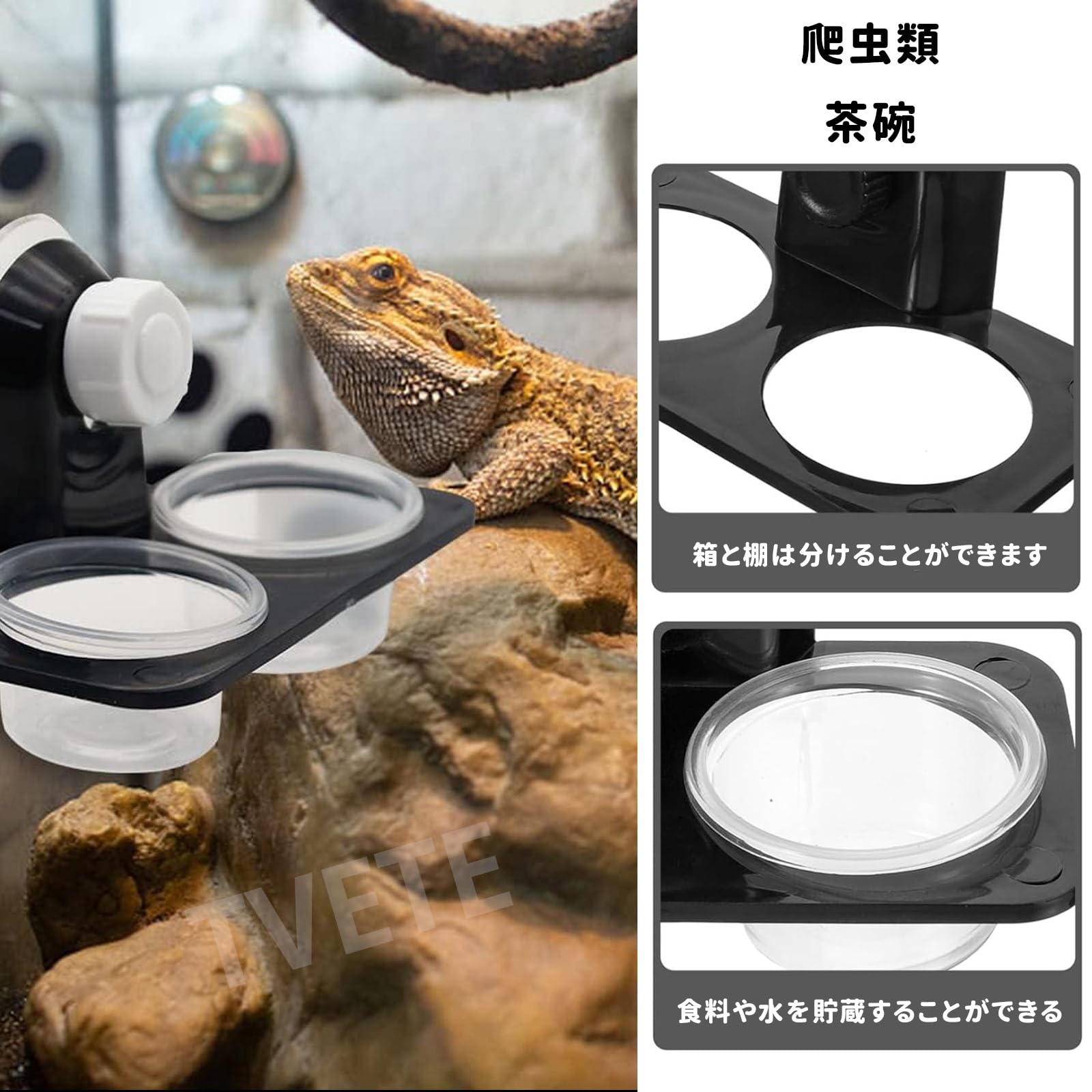 Amazon | TVETE 爬虫類 餌入れ 爬虫類の餌と水の皿 の餌のボウル 【2皿